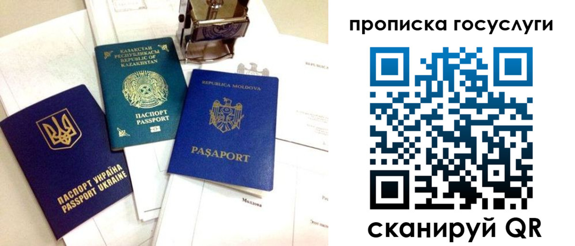 купить прописку в Ельне