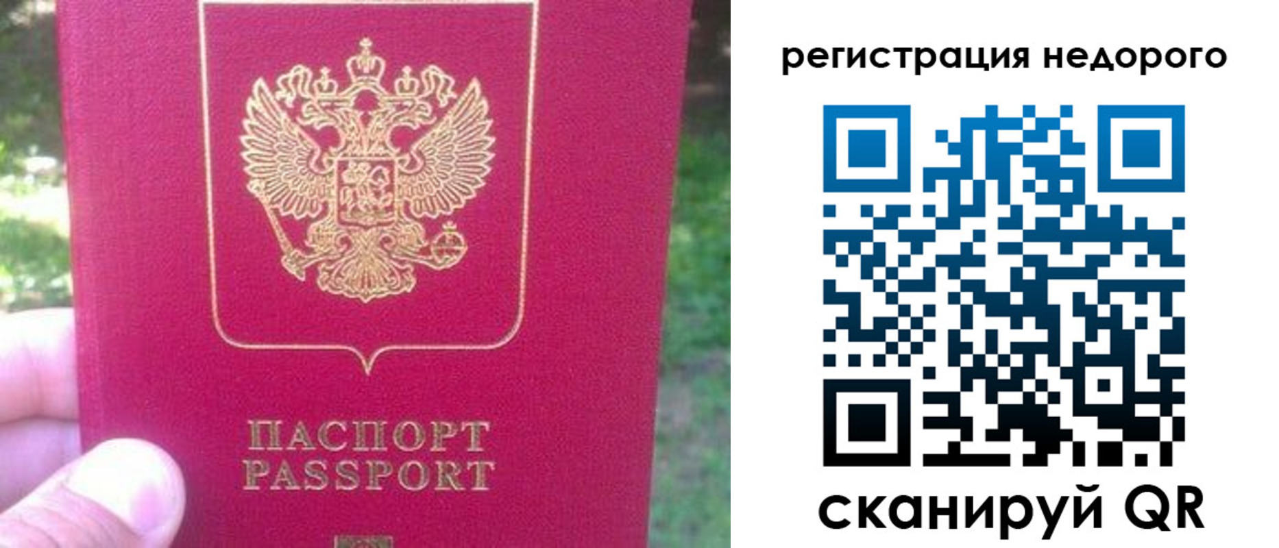 миграционный учет в Ельне